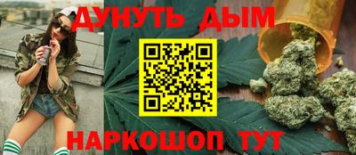индика Можга