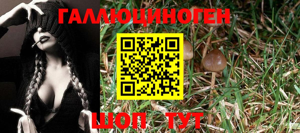 Галлюциногенные грибы мицелий Курганинск