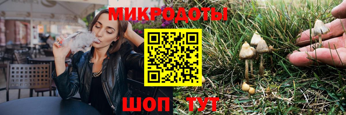 Псилоцибиновые грибы Psilocybine cubensis  Вход с VPN  Курганинск 